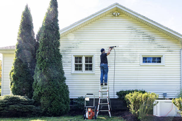 Best Deck Cleaning Services  in Iyanbito, NM